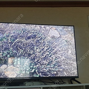 (대전) 이스트라 43인치 QLED TV 팝니다. 서비스로 무선 게임기 새제품 드림