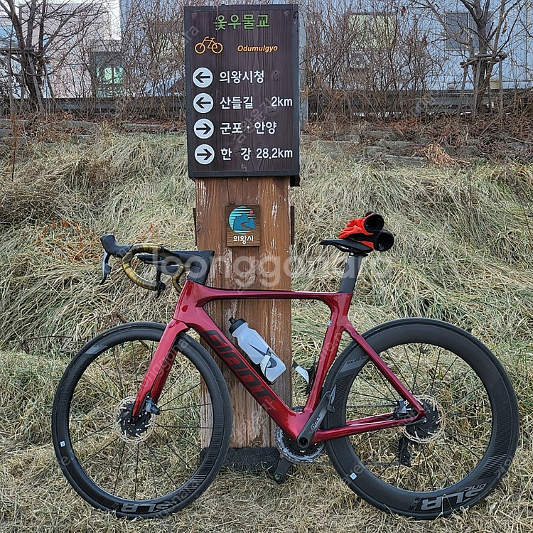 20년 자이언트 프로펠0 팝니다--0