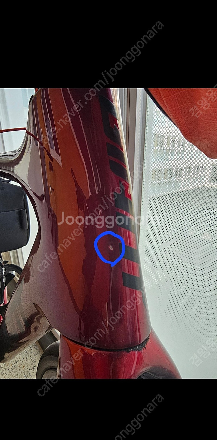 20년 자이언트 프로펠0 팝니다--3