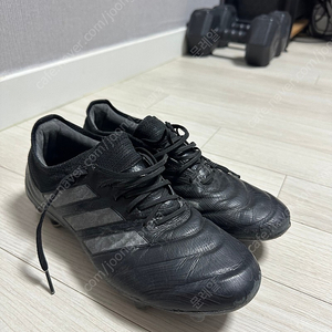 아디다스 코파 엘리트 250 fg