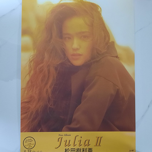 마츠다 줄리아 松田樹利亜 Julia II 포스터 B2