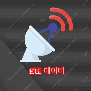 SK 데이터 1G = 총 2G