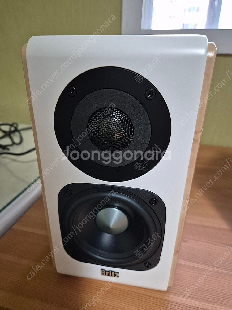 BR-1900DB 스피커--3