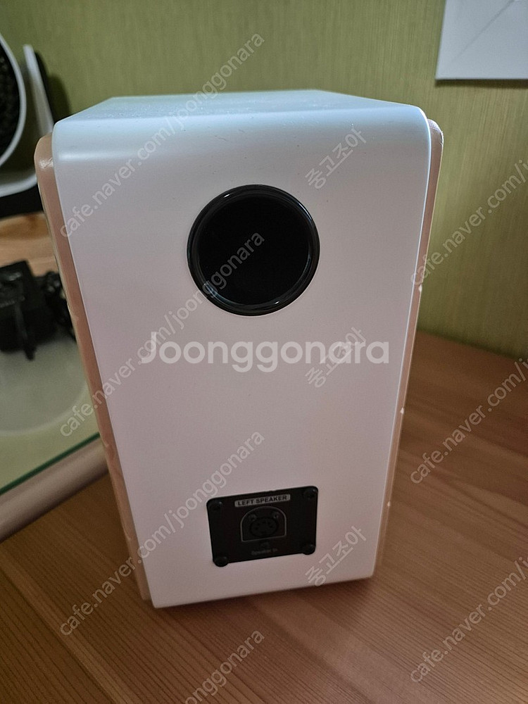 BR-1900DB 스피커--5