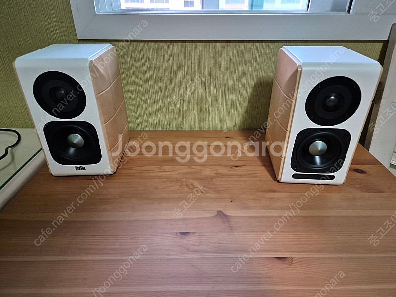 BR-1900DB 스피커--7