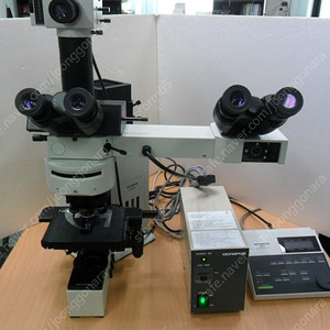 삼안 형광 생물 현미경 BX50 (Olympus)