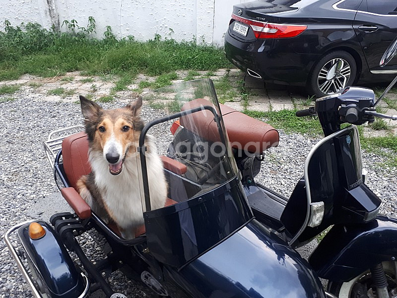 LML px125 vespa side car 사이드카 ...--1