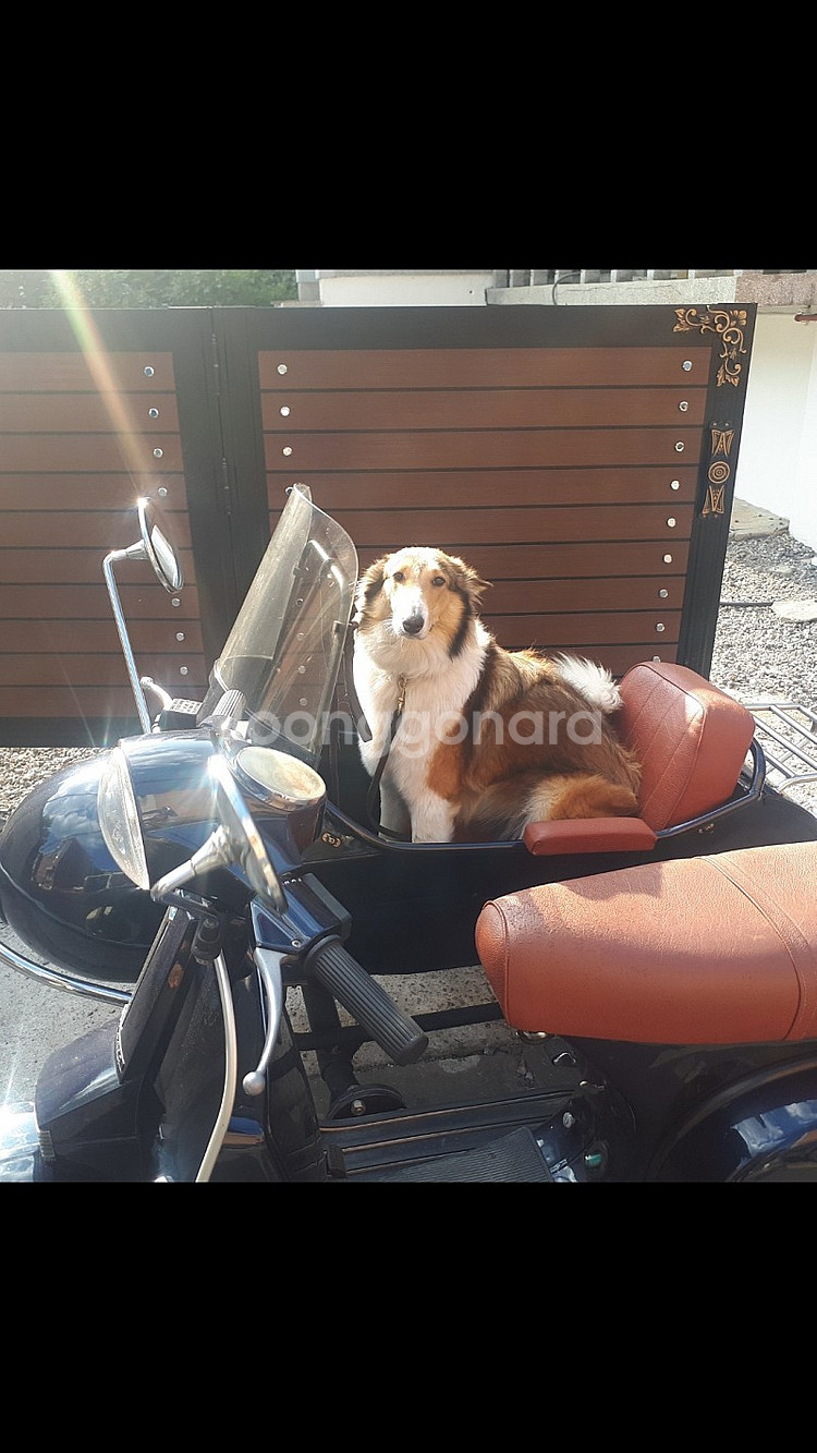 LML px125 vespa side car 사이드카 ...--2
