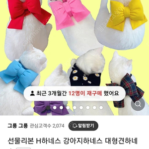 그릉그릉 하네스 xs사이즈 15000원