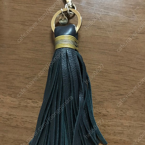 드메리엘 테슬 이미지