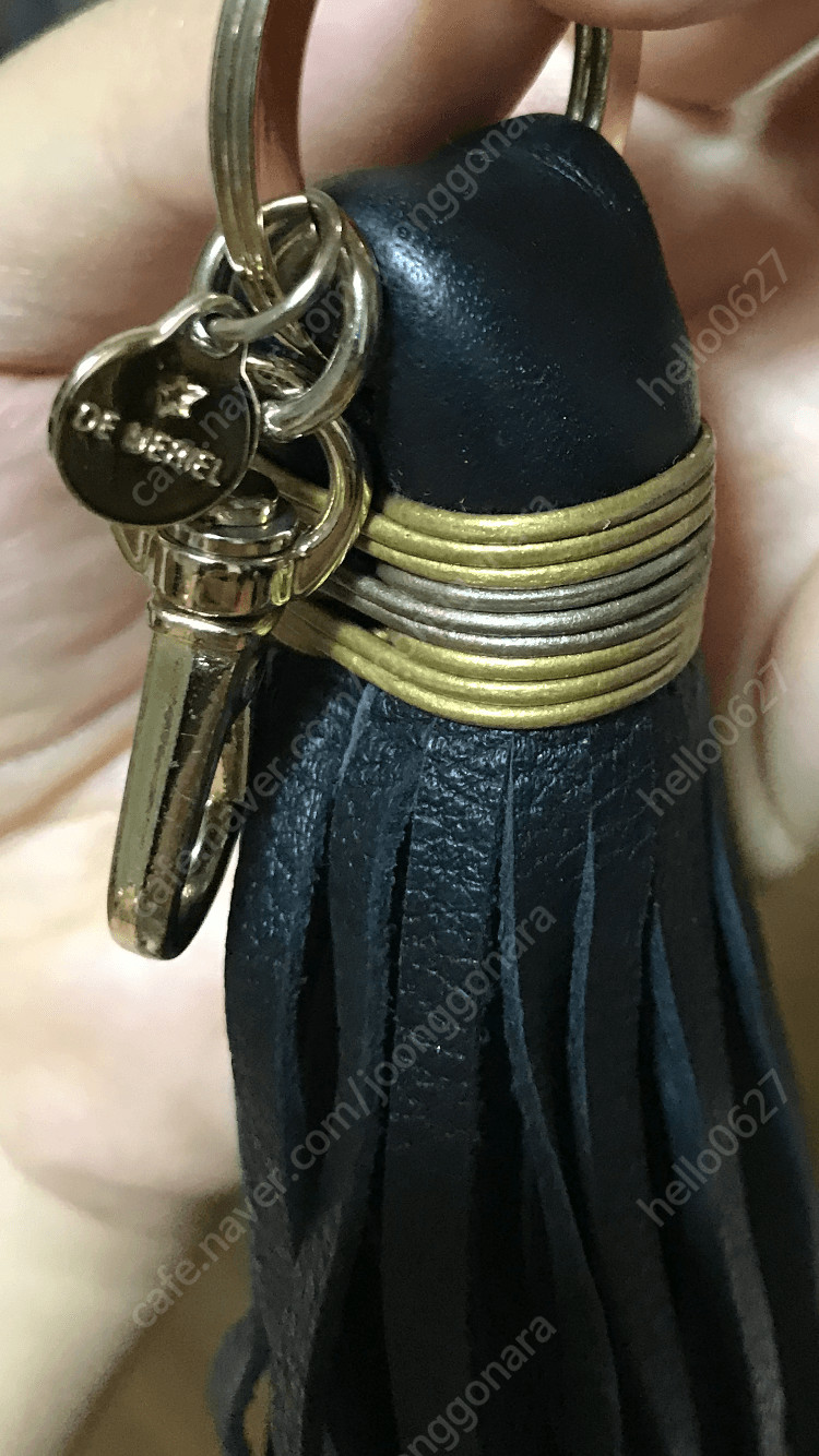 드메리엘 테슬 이미지