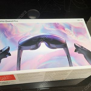 메타퀘스트 프로