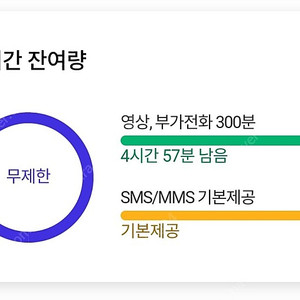 skt데이터 1기가당 2000원. 2기가 4000원​