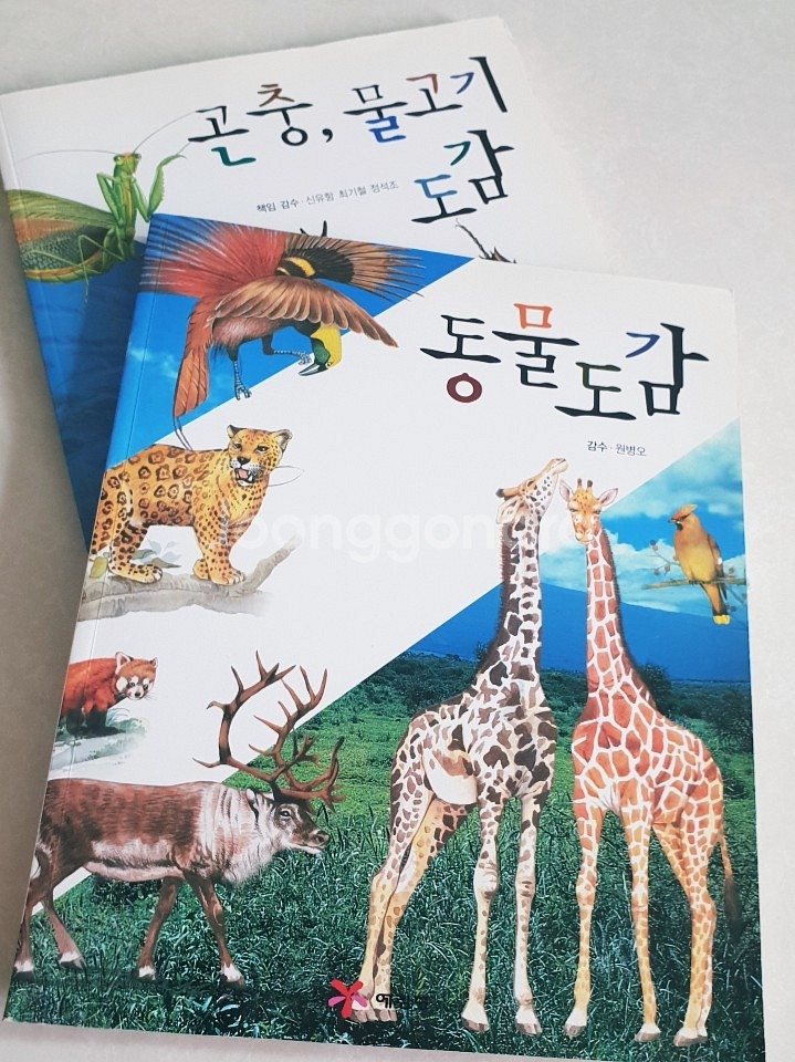예림당 동물도감 / 곤충, 물고기 도감--0