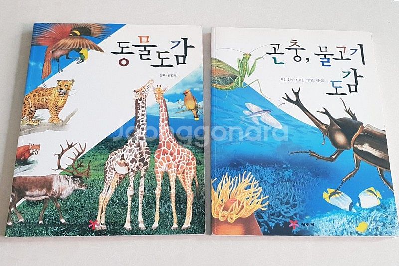 예림당 동물도감 / 곤충, 물고기 도감--1