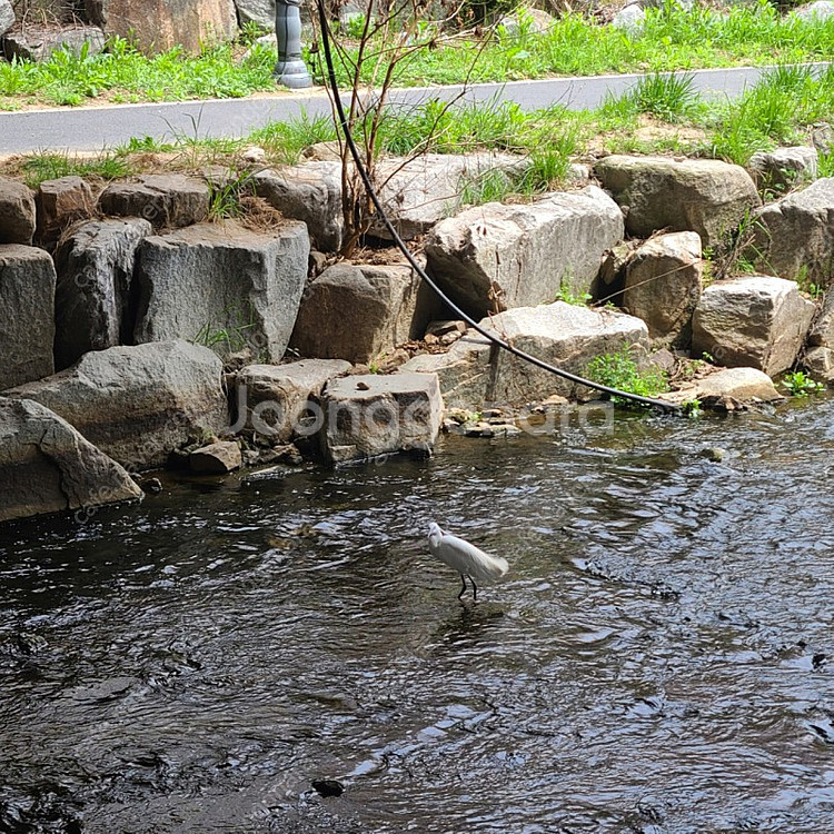 쿠팡 기프트카드 13만원. 90% 구매해요 (11만7천원)--0