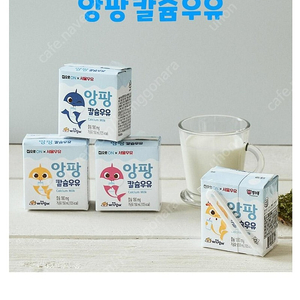 핑크퐁 앙팡 칼슘우유 150ml×24p택배포함