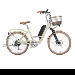 건강한 삶을 위한 알톤 벤조 23 스페셜 전기자전거 판매합니다.