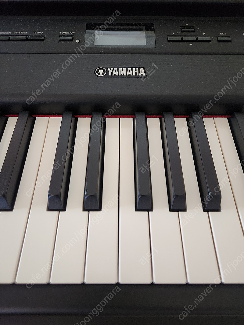 야마하 디지털 피아노 P-515