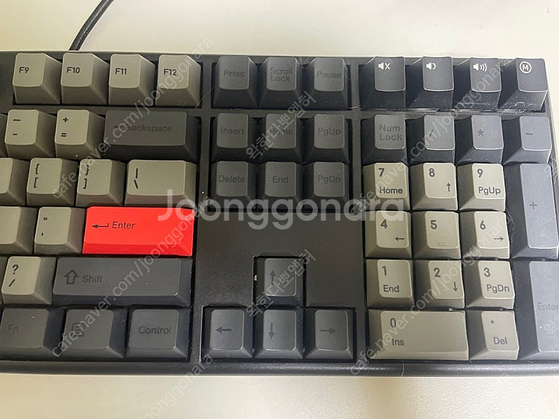 한무무 풀배열 GK898b 판매합니다 50g--1