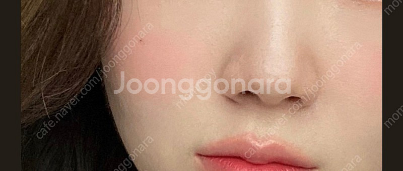 앤아더스토리즈 블러셔 (자르디니에르 로젤)--1