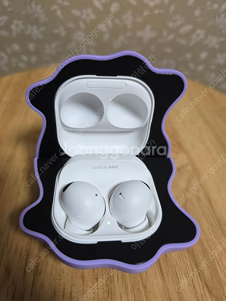 버즈2프로 메타몽케이스 급처--1