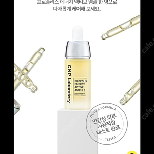 CNP 차앤박 프로폴리스 에너지 액티브 앰플 30ML