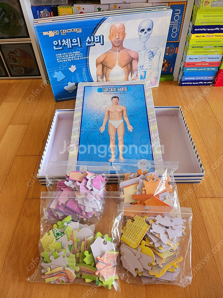 퍼즐11개(개당)100피스,300피스,500피스,100...--9