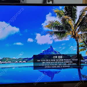 LG 55인치 스마트 TV (2019년 직구)