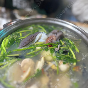 야놀자 55,000원 구매해요(80퍼)