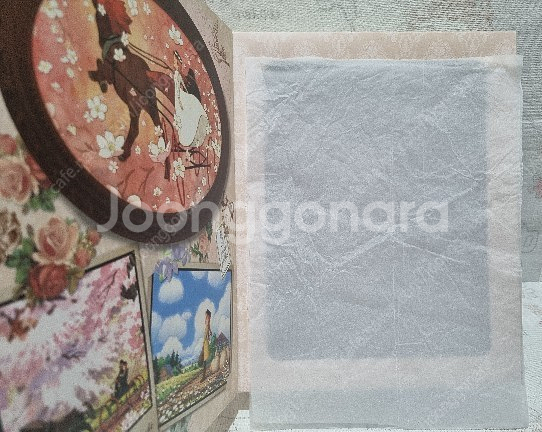 빨강머리앤 리카라이즈 40주년 인형 판매합니다--2