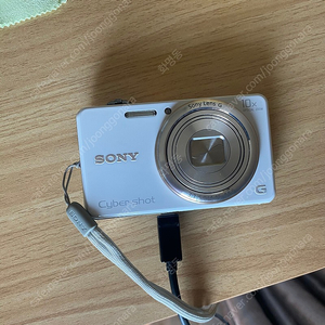 소니 사이버샷 DSC-WX100 빈티지감성 카메라