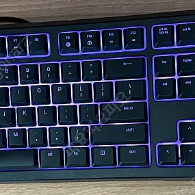 RZ03-0204 Razer ORNATA 키보드