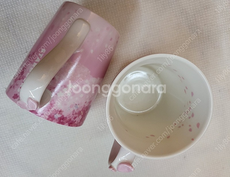 스타벅스 벚꽃 머그 코스모스 머그 컵--1