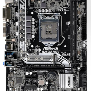 asrock b250m hdv