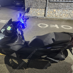 Pcx 2023년식cbs모델팝니다