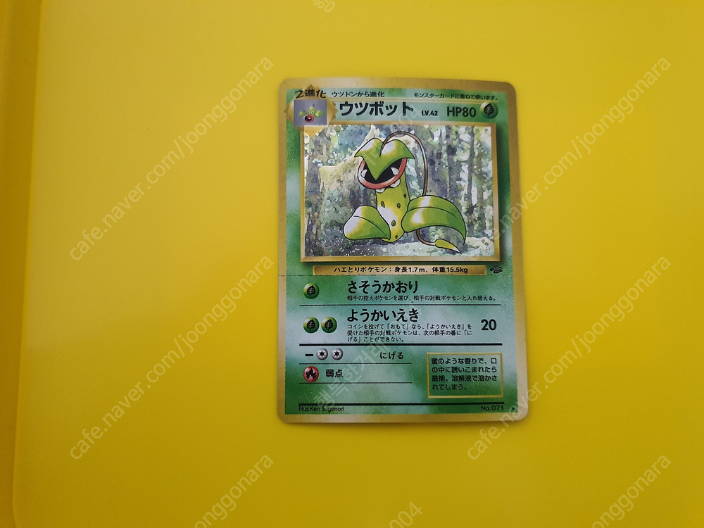 포켓몬카드 1996 우츠보트 미러 레어 키라 초판 1st 1ed 이미지