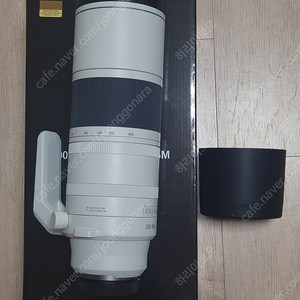 캐논 RF 200-800mm F6.3-9 IS USM 팝니다