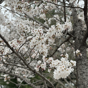 오늘 강남구청역 파티룸