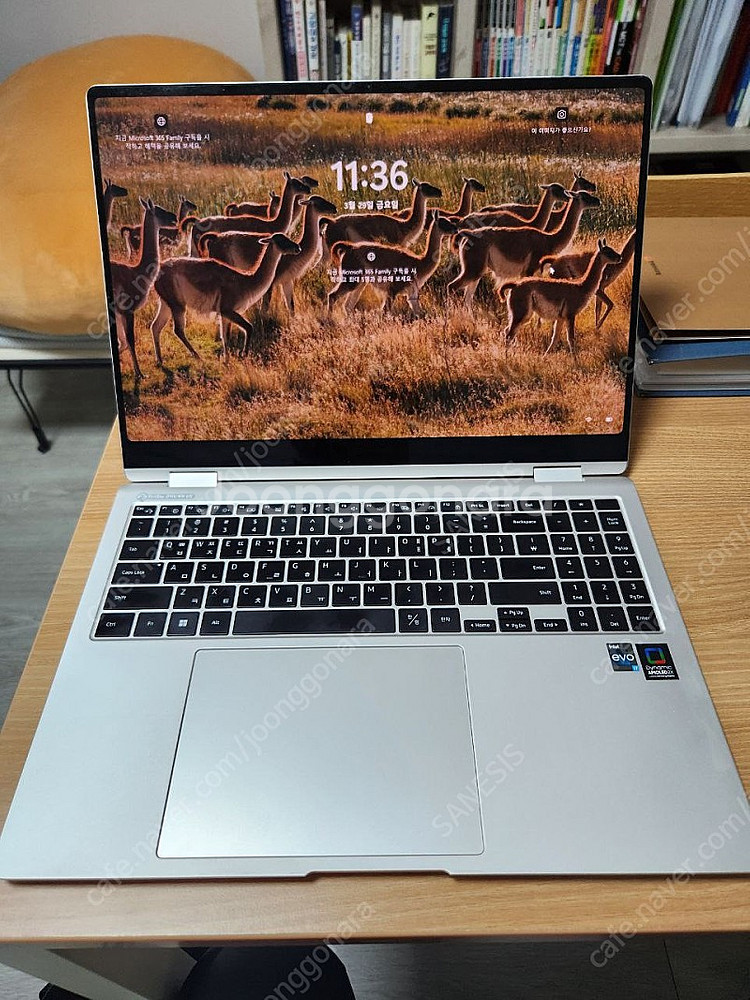삼성 갤럭시북프로3 360 [NT960QFG-KD72E...--0