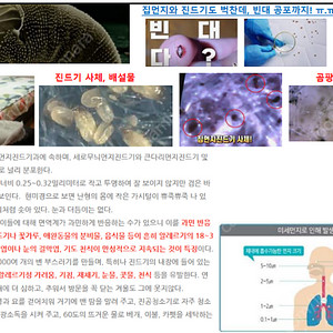 [일부 지역 한정]매트리스 집먼지,진드기,미세먼지 제거 홈케어 체험 1회 무료 서비스 제공