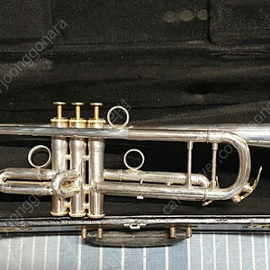 XO-SD 프로 트럼펫