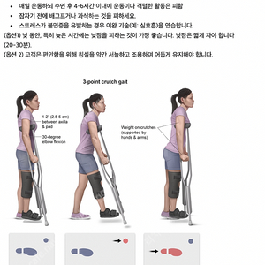 엔클렉스 유월드 해설 번역 핵심 요약집