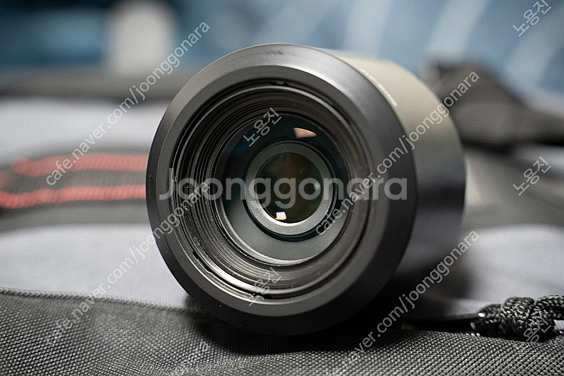 소니 A77, 탐론 17-50, 소니 55-200, 스...--8