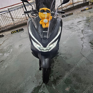 Pcx125 19년식 24600키로