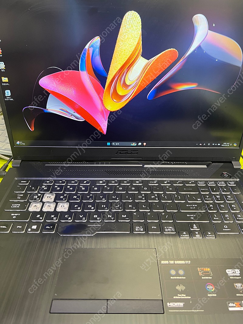 Asus 게이밍노트북 17.3 i9--0
