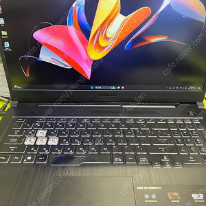 Asus 게이밍노트북 17.3 i9