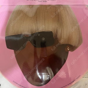 타일러 더 크리에이터 igor 픽쳐디스크 한정판 팝니다