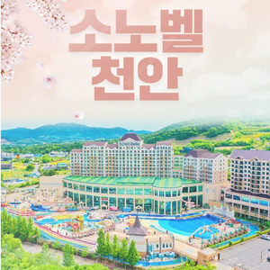 용평리조트&대명천안소노벨~올인패키지~4월5월+발왕산케이블카~워터파크