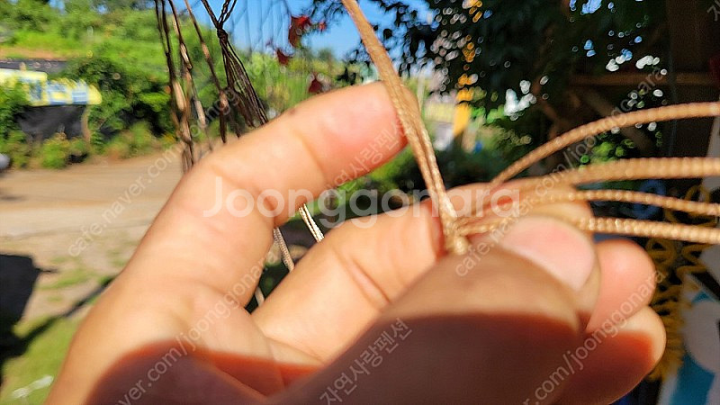 고라니망 해태망 식물유도망 노루망 40M 1.8M 2개 1박스 33.000원 배송비포함--0